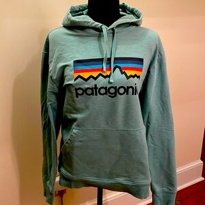 Patagonia organic cotton hoodie